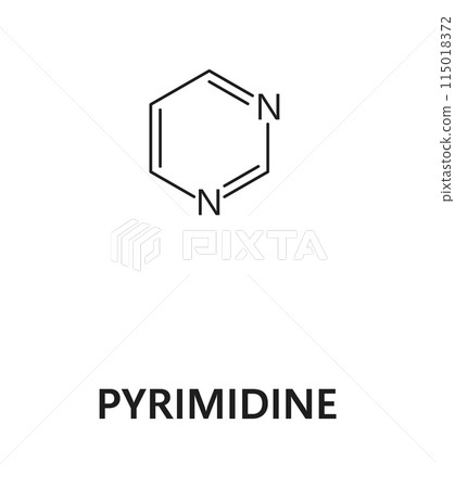 Pyrimidine nucleic acid, nitrogenous base, nitrogen and hydrogen formula. Nitrogen and hydrogen biology molecular structure, DNA nitrogenous base microbiology molecule or nucleic acid vector formula 115018372