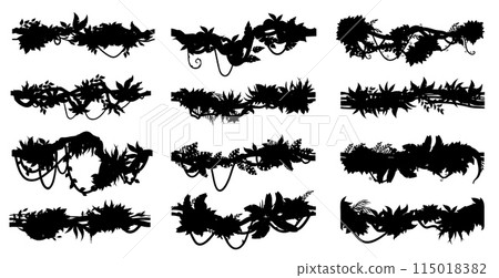 Jungle tropical liana branch vines and ivy plants silhouettes, vector creeper tree. Jungle forest liana branches with leaves, curly and twisted vines with leaves, tropical rainforest hanging foliage 115018382