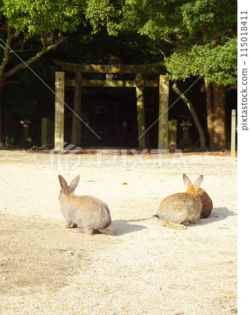 The god of the island protected by rabbits 115018411