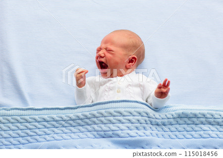 Newborn baby boy on a blue blanket Newborn baby boy on a blue blanket 115018456