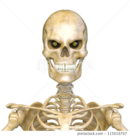 骷髏臉特寫 115018707