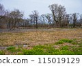 Spring scenery of Hariehama Lake in Takashima City, Shiga Prefecture 115019129