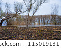 Spring scenery of Hariehama Lake in Takashima City, Shiga Prefecture 115019131