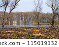 Spring scenery of Hariehama Lake in Takashima City, Shiga Prefecture 115019132