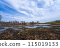 Spring scenery of Hariehama Lake in Takashima City, Shiga Prefecture 115019133