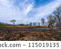 Spring scenery of Hariehama Lake in Takashima City, Shiga Prefecture 115019135