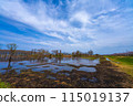 Spring scenery of Hariehama Lake in Takashima City, Shiga Prefecture 115019137