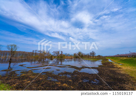 Spring scenery of Hariehama Lake in Takashima City, Shiga Prefecture Spring scenery of Hariehama Lake in Takashima City, Shiga Prefecture 115019137