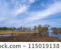 Spring scenery of Hariehama Lake in Takashima City, Shiga Prefecture 115019138