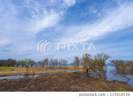 Spring scenery of Hariehama Lake in Takashima City, Shiga Prefecture Spring scenery of Hariehama Lake in Takashima City, Shiga Prefecture 115019138