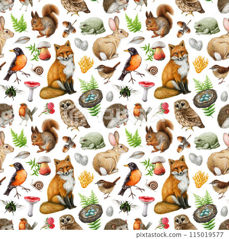 Forest animals with natural elements seamless pattern. Hand drawn watercolor illustration. Vintage style forest animals, birds, natural elements, mushroom, fern, grass seamless pattern Forest animals with natural elements seamless pattern. Hand drawn watercolor illustration. Vintage style forest animals, birds, natural elements, mushroom, fern, grass seamless pattern 115019577