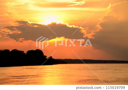 Silhouette tranquil season wilderness serene landscape. Tranquil lake countryside sunrise seaside reflection. Tropical amazing dramatic golden sky on sunset over scenic river lake seascape ocean. Silhouette tranquil season wilderness serene landscape. Tranquil lake countryside sunrise seaside reflection. Tropical amazing dramatic golden sky on sunset over scenic river lake seascape ocean. 115019709