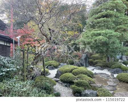 Garden colored with autumn leaves 115019722