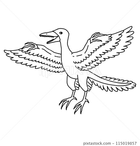 Archaeopteryx, Siberian Thrush, line drawing 115019857