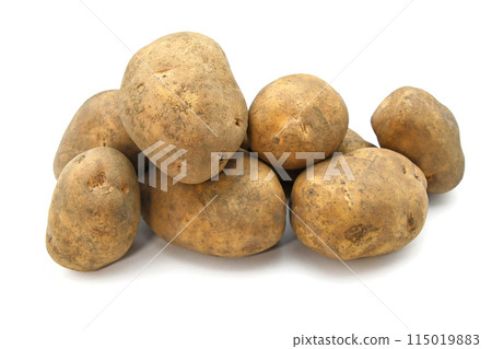 馬鈴薯（光） 115019883