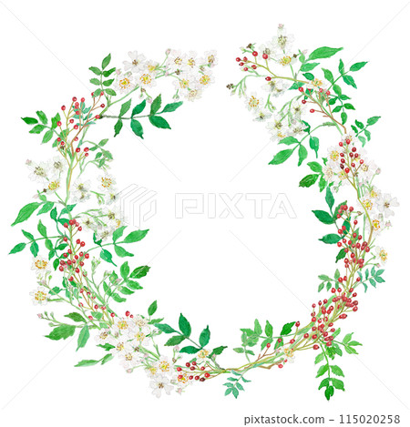 Watercolor illustration of a wreath of wild rose flowers and berries Watercolor illustration of a wreath of wild rose flowers and berries 115020258