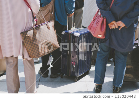 Foreign tourists and suitcases 115020448