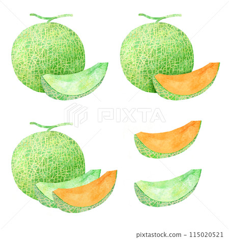 手繪插圖的切瓜 手繪插圖的切瓜 115020521