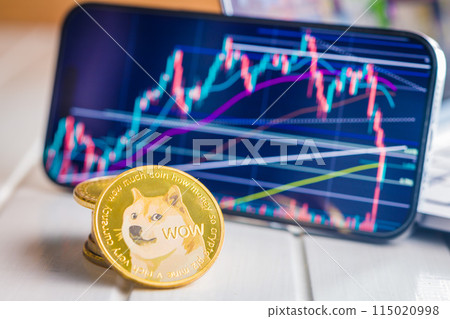 Dogecoin gold coin. Cryptocurrency and business chart in cellphone. 115020998
