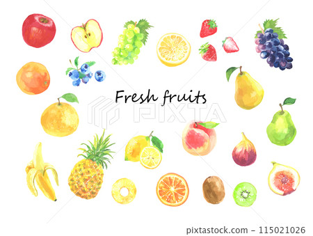 Watercolor illustrations of various fruits 115021026