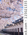 Tamon Tower and cherry blossoms 115021335