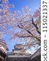Shiomi turret and cherry blossoms 115021337