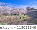 Shiomi Tower and row of cherry trees 115021340
