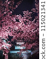 Shiomi Tower and illuminated cherry blossoms 115021341