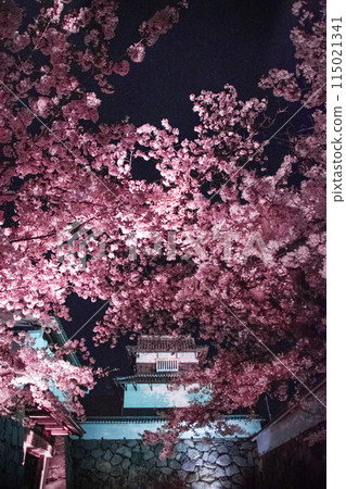 潮見櫓和櫻花的燈光秀 115021341