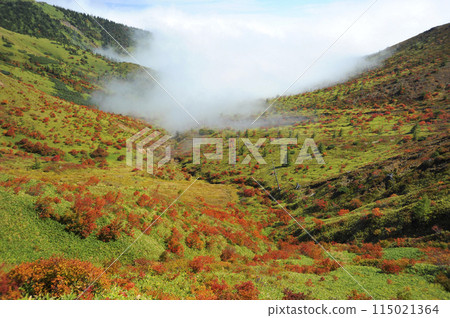 Autumn leaves and sea of clouds at Mount Kusatsu-Shirane 115021364