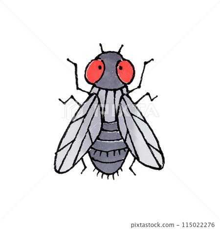 flies flies 115022276
