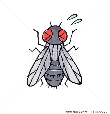 Annoying Flies Annoying Flies 115022277