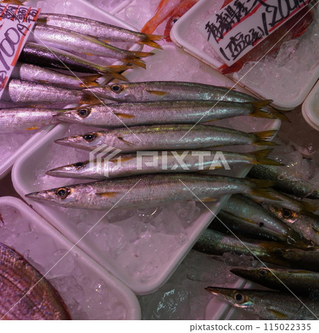 "Fish Market: Barracuda" "Fish Market: Barracuda" 115022335