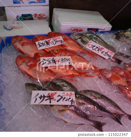 "Fish Market: Goldfish" "Fish Market: Goldfish" 115022347