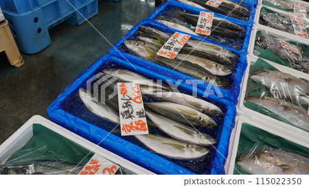 "Fish Market: Horse Mackerel" "Fish Market: Horse Mackerel" 115022350