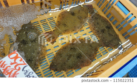 "Fish Market - Flounder" 115022351