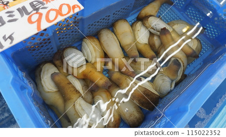 "Fish Market: Clams" 115022352