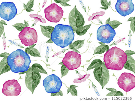 牽牛花夏季花卉背景圖案圖案水彩插圖 牽牛花夏季花卉背景圖案圖案水彩插圖 115022396