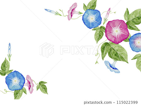 牽牛花夏季花背景框架水彩插圖 115022399