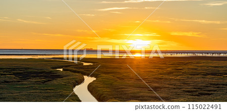 台灣台中市日落黃昏的高美濕地 115022491