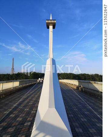 從葛西臨海公園到葛西海濱公園的葛西渚橋 從葛西臨海公園到葛西海濱公園的葛西渚橋 115022647