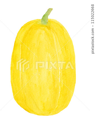 手繪水彩插圖的金百合 115022668