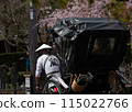 櫻花下兩人乘坐人力車的後視圖 115022766