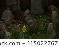 與青苔的石燈籠籃子 115022767