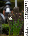  白花 115022774