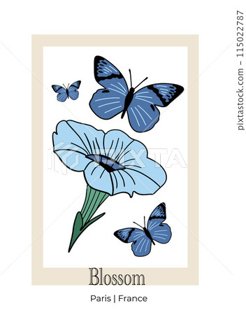 Butterflies and petunia flowers set flat design set  115022787
