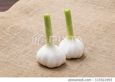 Raw garlic, freshly harvested garlic, freshly picked garlic, healthy vegetables 115022903