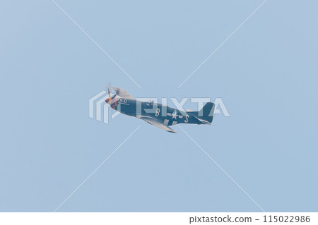 American P-51D Mustang fighter 115022986