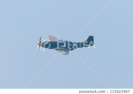 American P-51D Mustang fighter 115022987