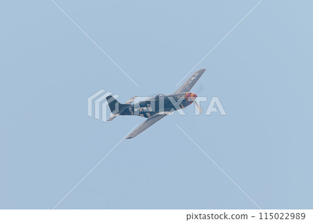 American P-51D Mustang fighter 115022989